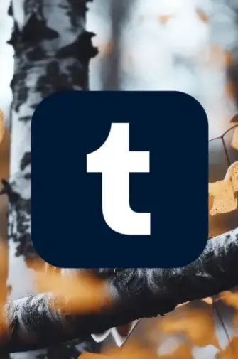 Methods to Increase Tumblr Follower Count